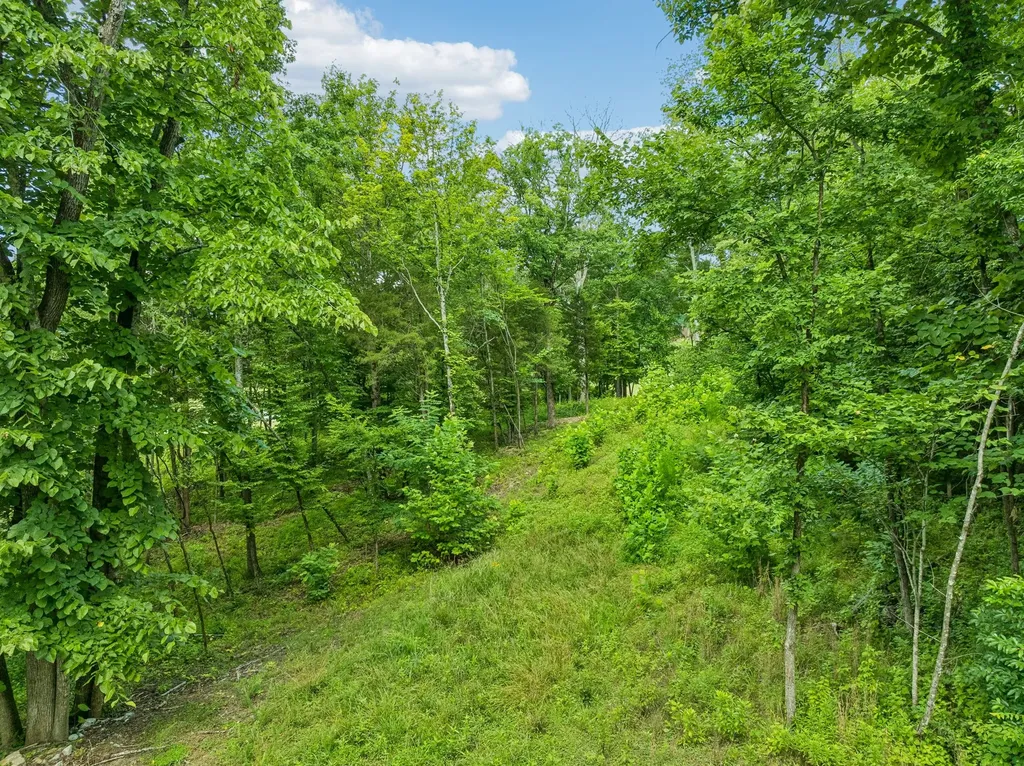 9208 Troubadour Drive College Grove TN 37046