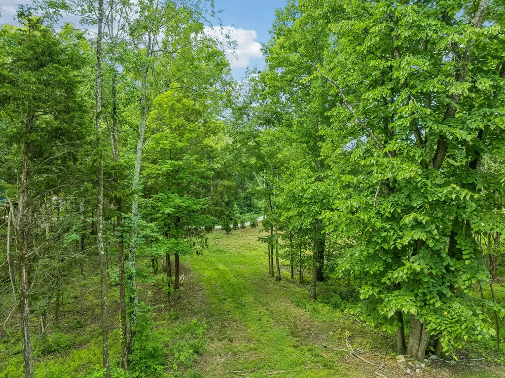 9208 Troubadour Drive College Grove TN 37046