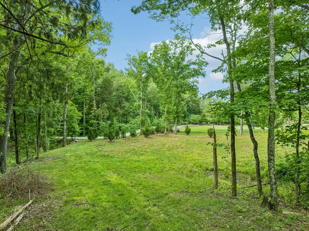 9208 Troubadour Drive College Grove TN 37046