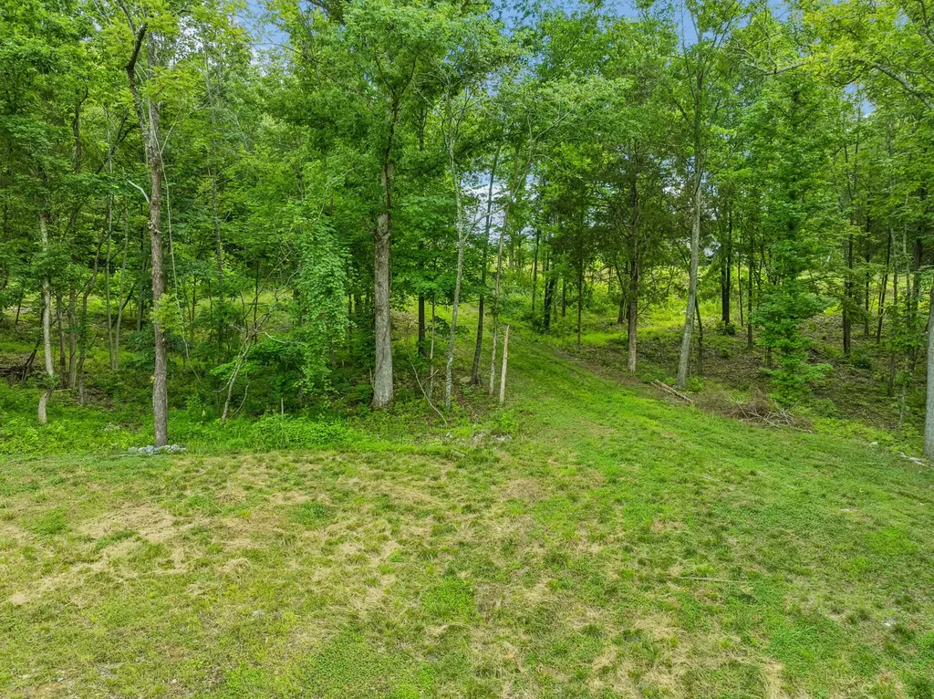 9208 Troubadour Drive College Grove TN 37046