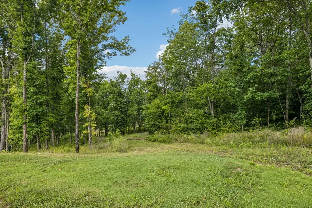 9208 Troubadour Drive College Grove TN 37046