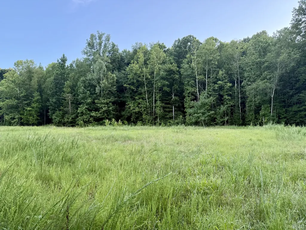 825 Lakestone Road Waverly TN 37185