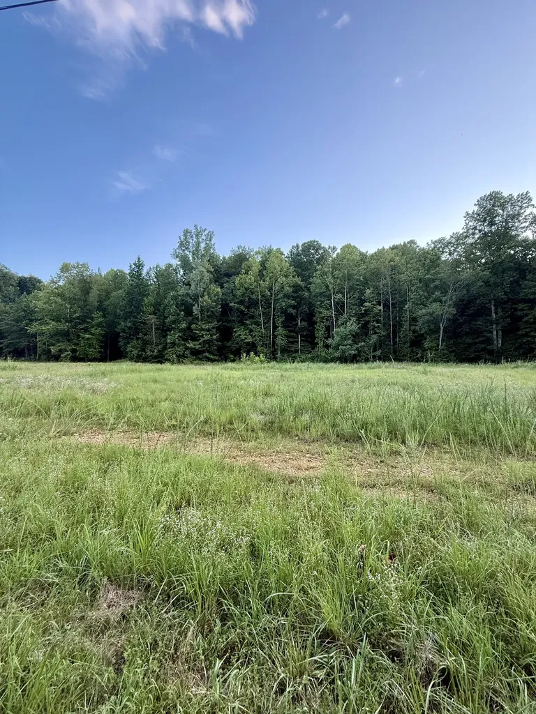 825 Lakestone Road Waverly TN 37185