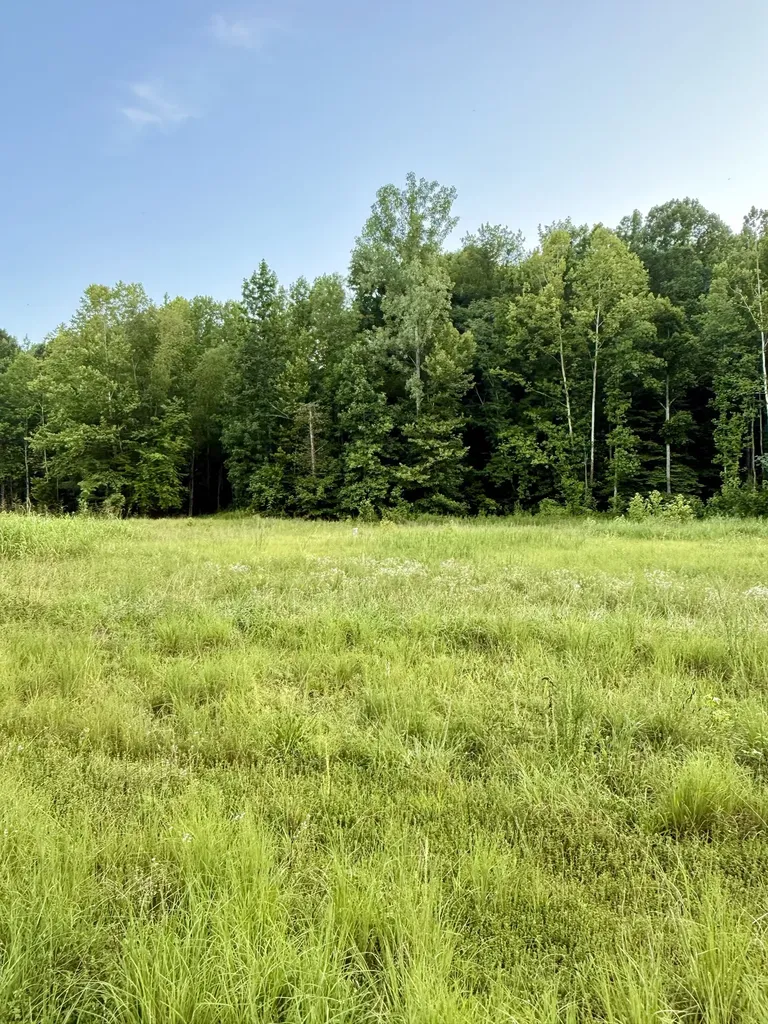825 Lakestone Road Waverly TN 37185