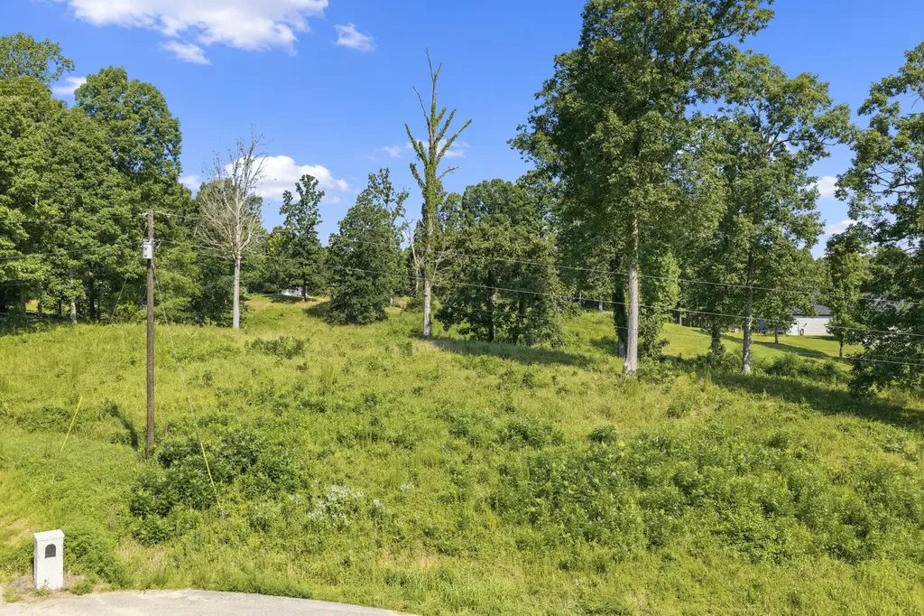0 Oak Pointe Drive Lexington TN 38351