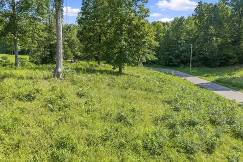0 Oak Pointe Drive Lexington TN 38351