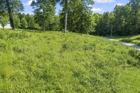 0 Oak Pointe Drive Lexington TN 38351