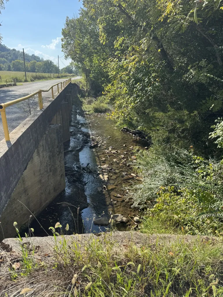 0 Cheatham Springs Road Wartrace TN 37183