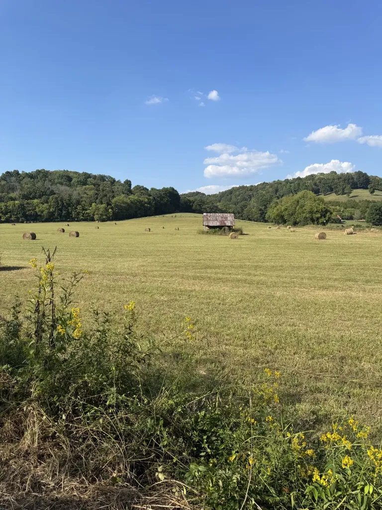 0 Cheatham Springs Road Wartrace TN 37183