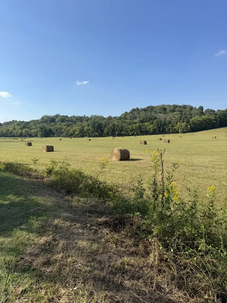 0 Cheatham Springs Road Wartrace TN 37183