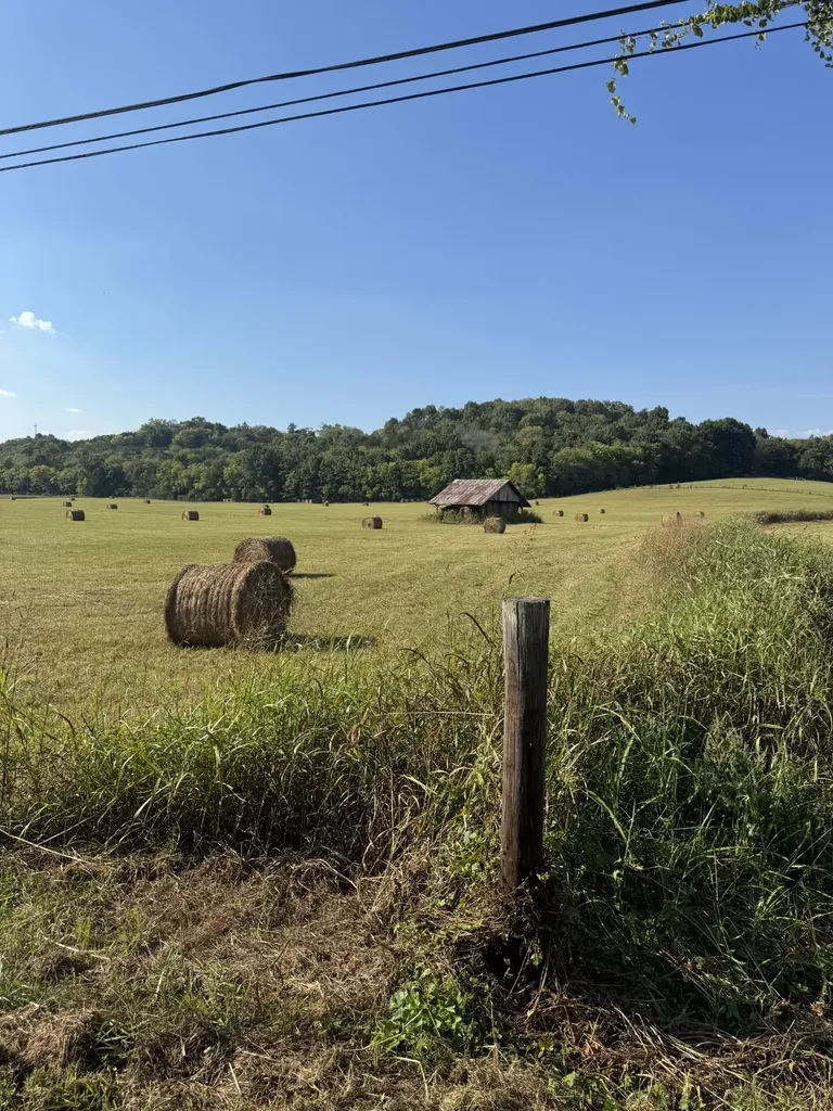 0 Cheatham Springs Road Wartrace TN 37183