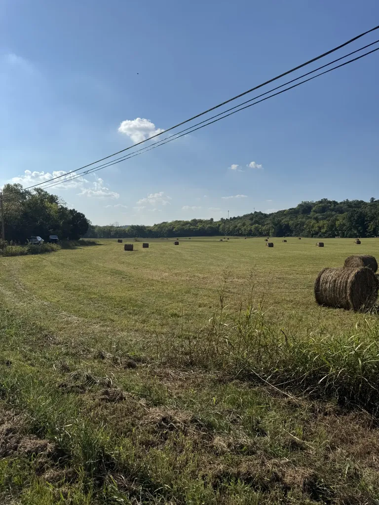 0 Cheatham Springs Road Wartrace TN 37183