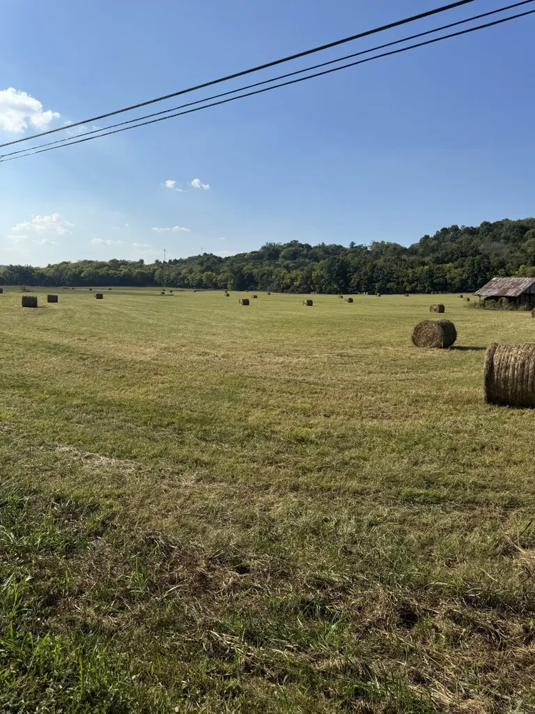 0 Cheatham Springs Road Wartrace TN 37183