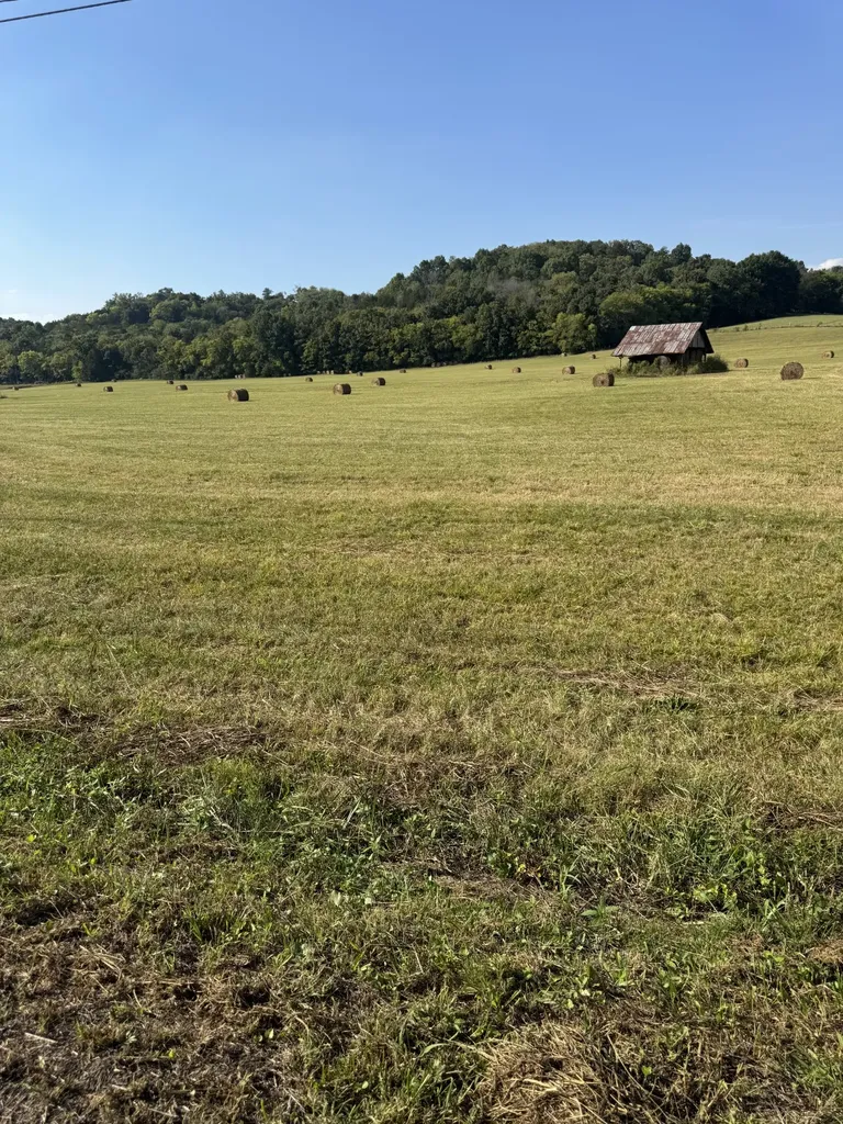0 Cheatham Springs Road Wartrace TN 37183
