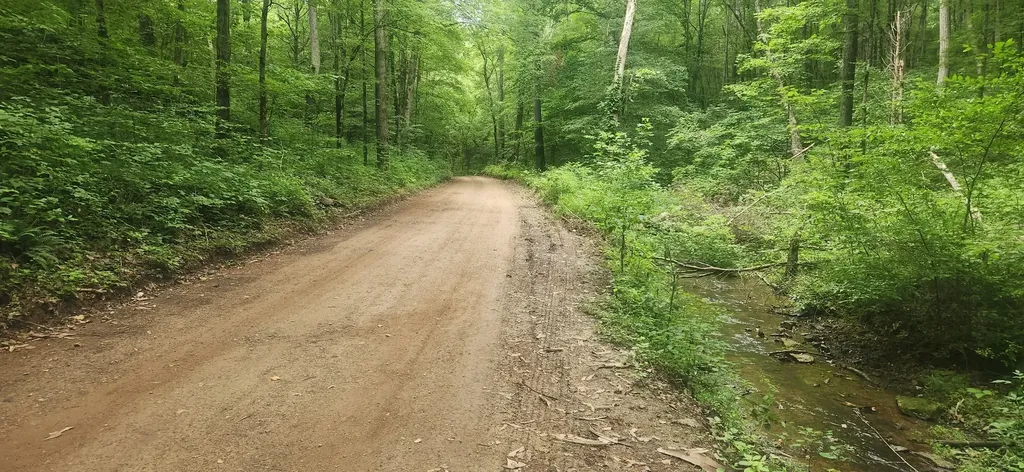 0 Tidwell Switch Road Bon Aqua TN 37025