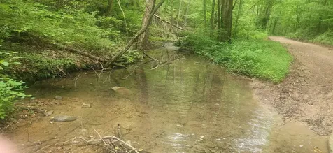 0 Tidwell Switch Road Bon Aqua TN 37025