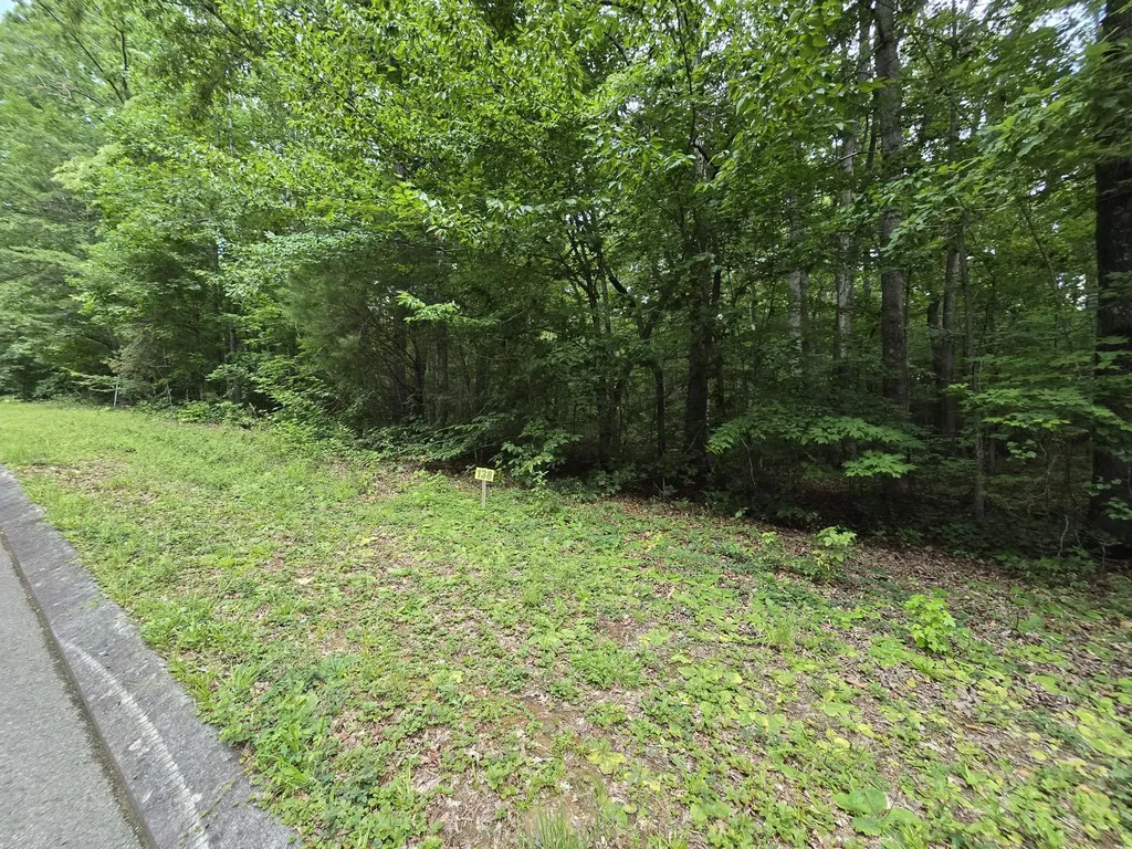 138 Lower Brow Road Dunlap TN 37327