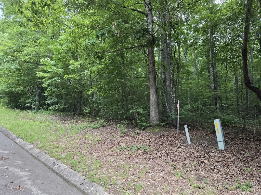 138 Lower Brow Road Dunlap TN 37327
