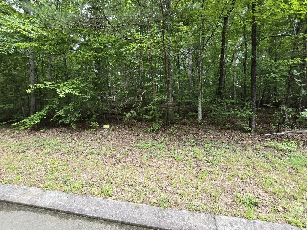 136 Lower Brow Road Dunlap TN 37327