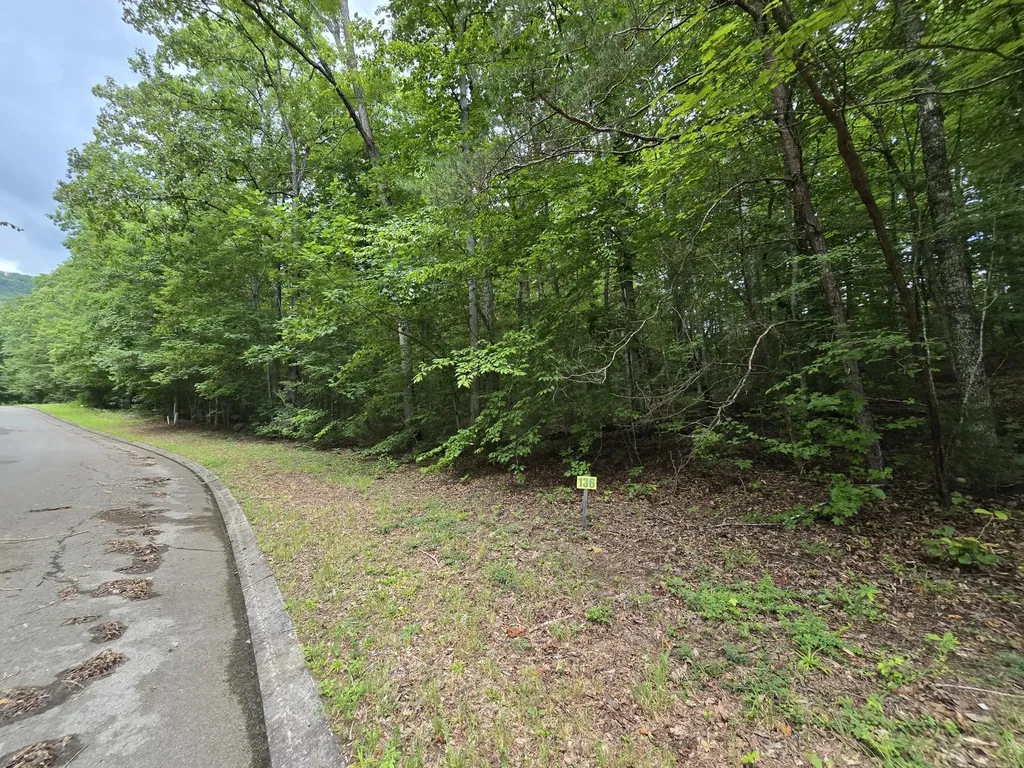 136 Lower Brow Road Dunlap TN 37327