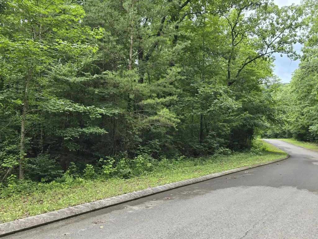 135 Lower Brow Road Dunlap TN 37327