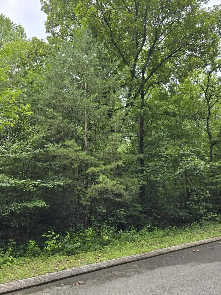 135 Lower Brow Road Dunlap TN 37327
