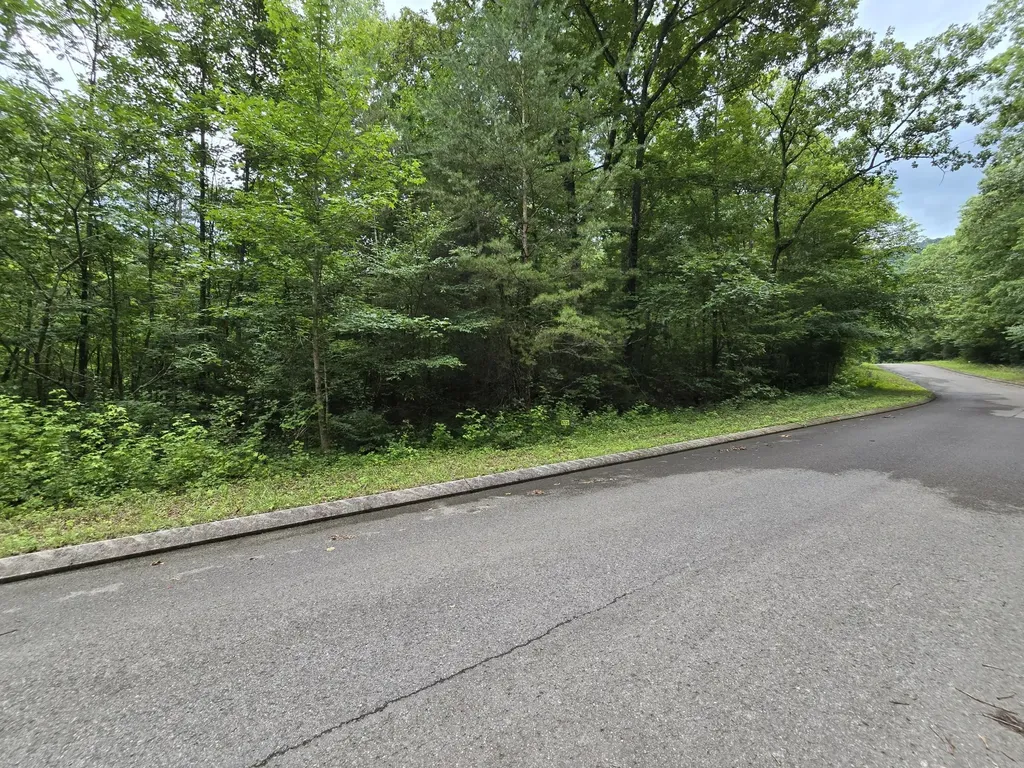135 Lower Brow Road Dunlap TN 37327