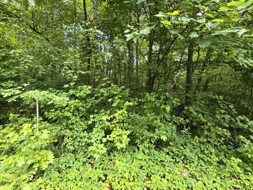 133 Lower Brow Road Dunlap TN 37327
