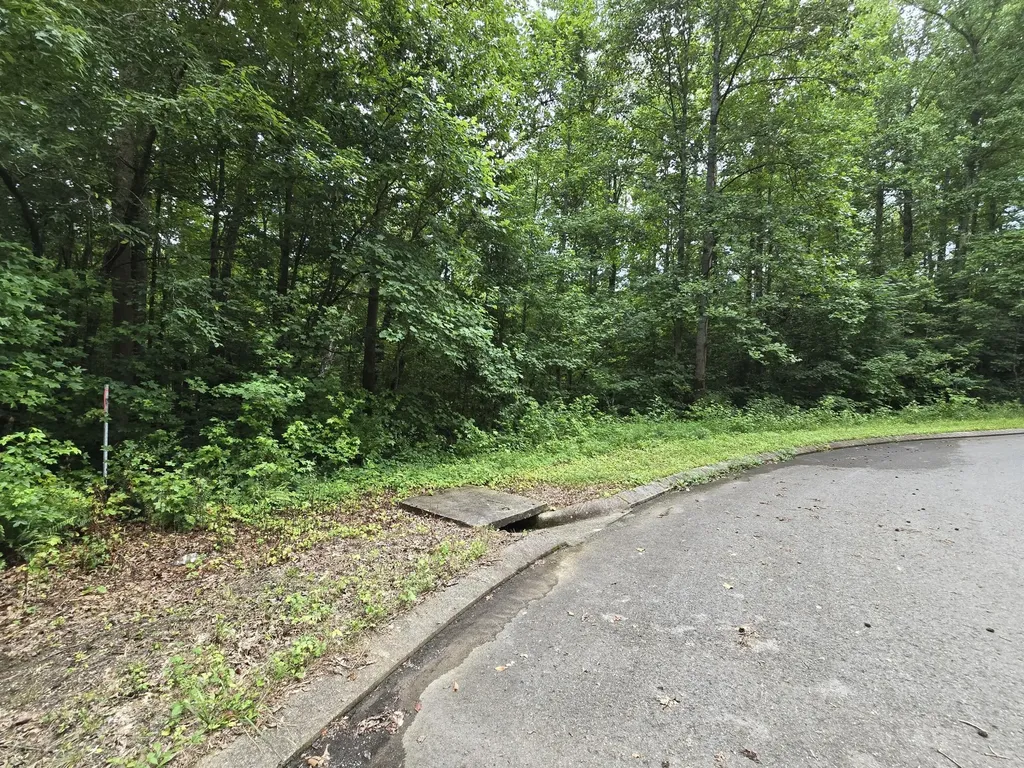 133 Lower Brow Road Dunlap TN 37327