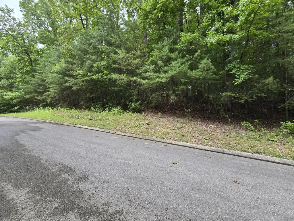 134 Lower Brow Road Dunlap TN 37327