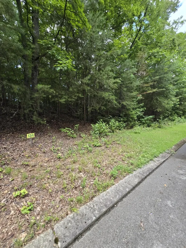 134 Lower Brow Road Dunlap TN 37327
