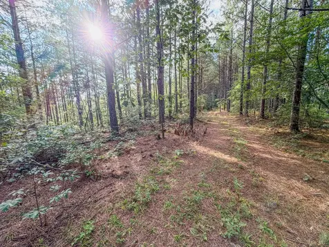 164 Center Ridge Drive Hohenwald TN 38462