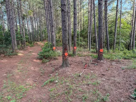 164 Center Ridge Drive Hohenwald TN 38462