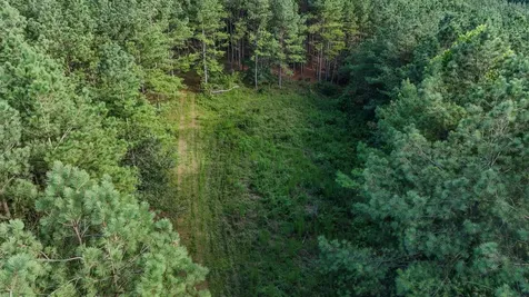 164 Center Ridge Drive Hohenwald TN 38462