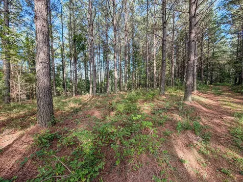164 Center Ridge Drive Hohenwald TN 38462