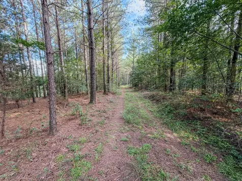 164 Center Ridge Drive Hohenwald TN 38462