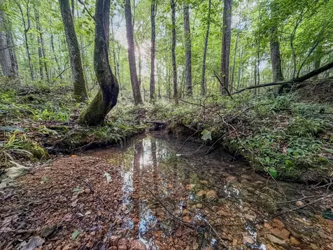 164 Center Ridge Drive Hohenwald TN 38462