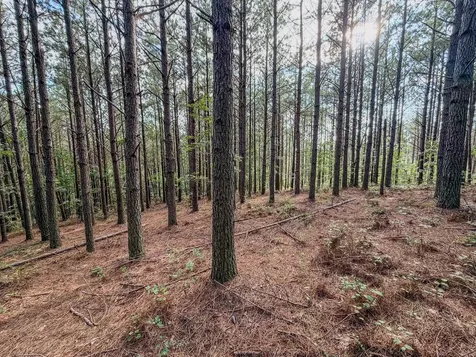 164 Center Ridge Drive Hohenwald TN 38462