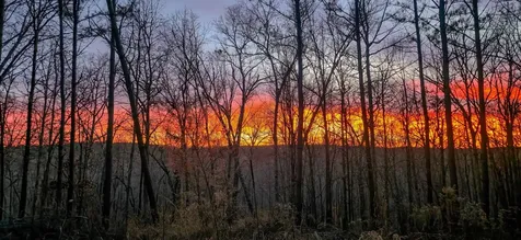 164 Center Ridge Drive Hohenwald TN 38462