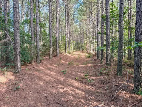 164 Center Ridge Drive Hohenwald TN 38462