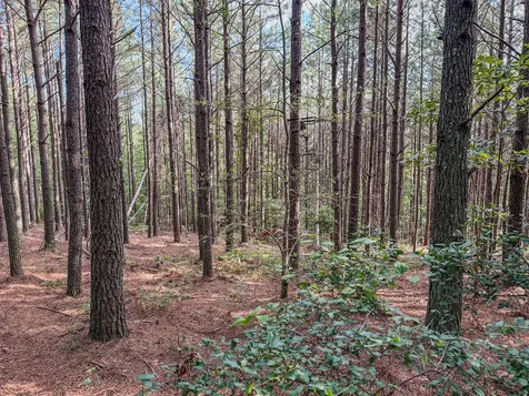 164 Center Ridge Drive Hohenwald TN 38462