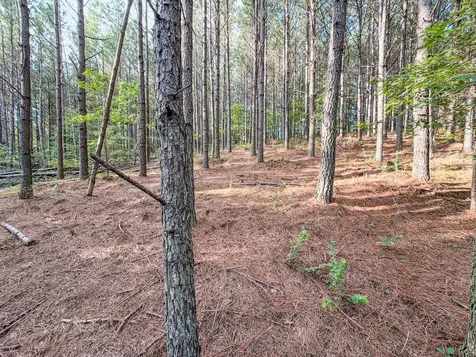 164 Center Ridge Drive Hohenwald TN 38462