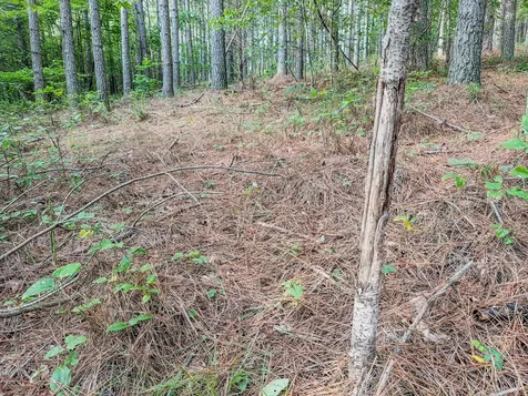 164 Center Ridge Drive Hohenwald TN 38462