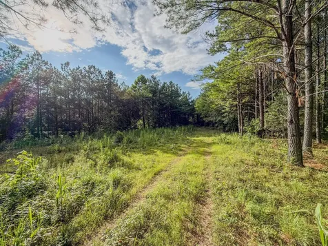 164 Center Ridge Drive Hohenwald TN 38462