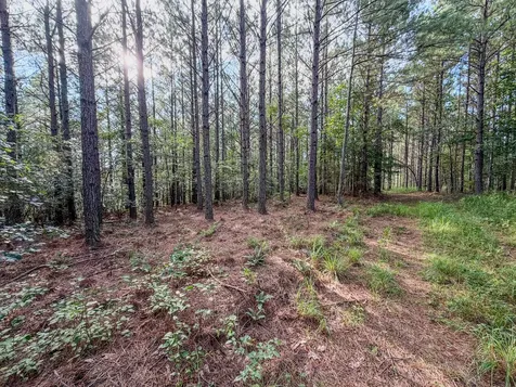 164 Center Ridge Drive Hohenwald TN 38462