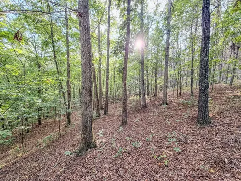 164 Center Ridge Drive Hohenwald TN 38462