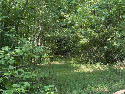 2407 Esque Sharp Road Mount Pleasant TN 38474