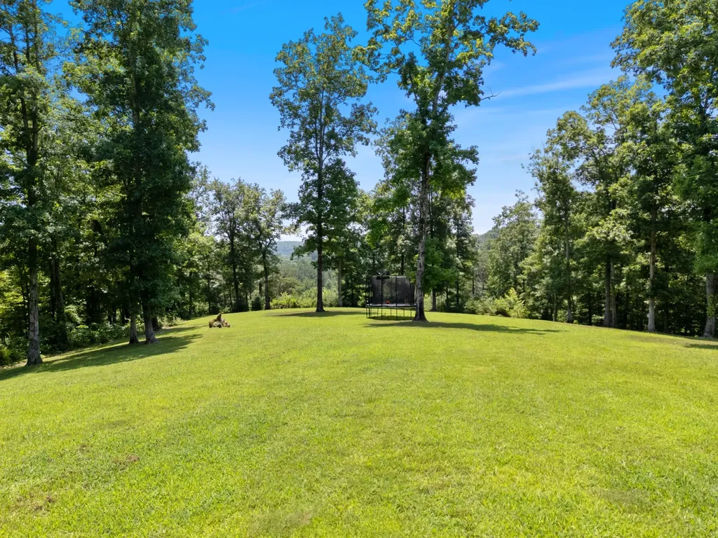 1370 Leatherwood Road White Bluff TN 37187