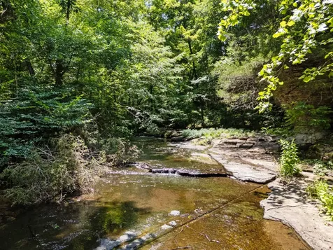 1370 Leatherwood Road White Bluff TN 37187