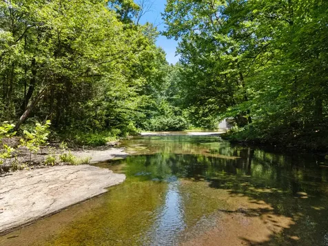 1370 Leatherwood Road White Bluff TN 37187